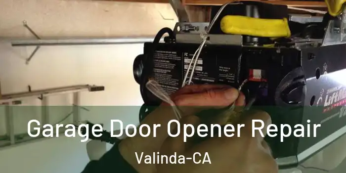  Garage Door Opener Repair Valinda-CA